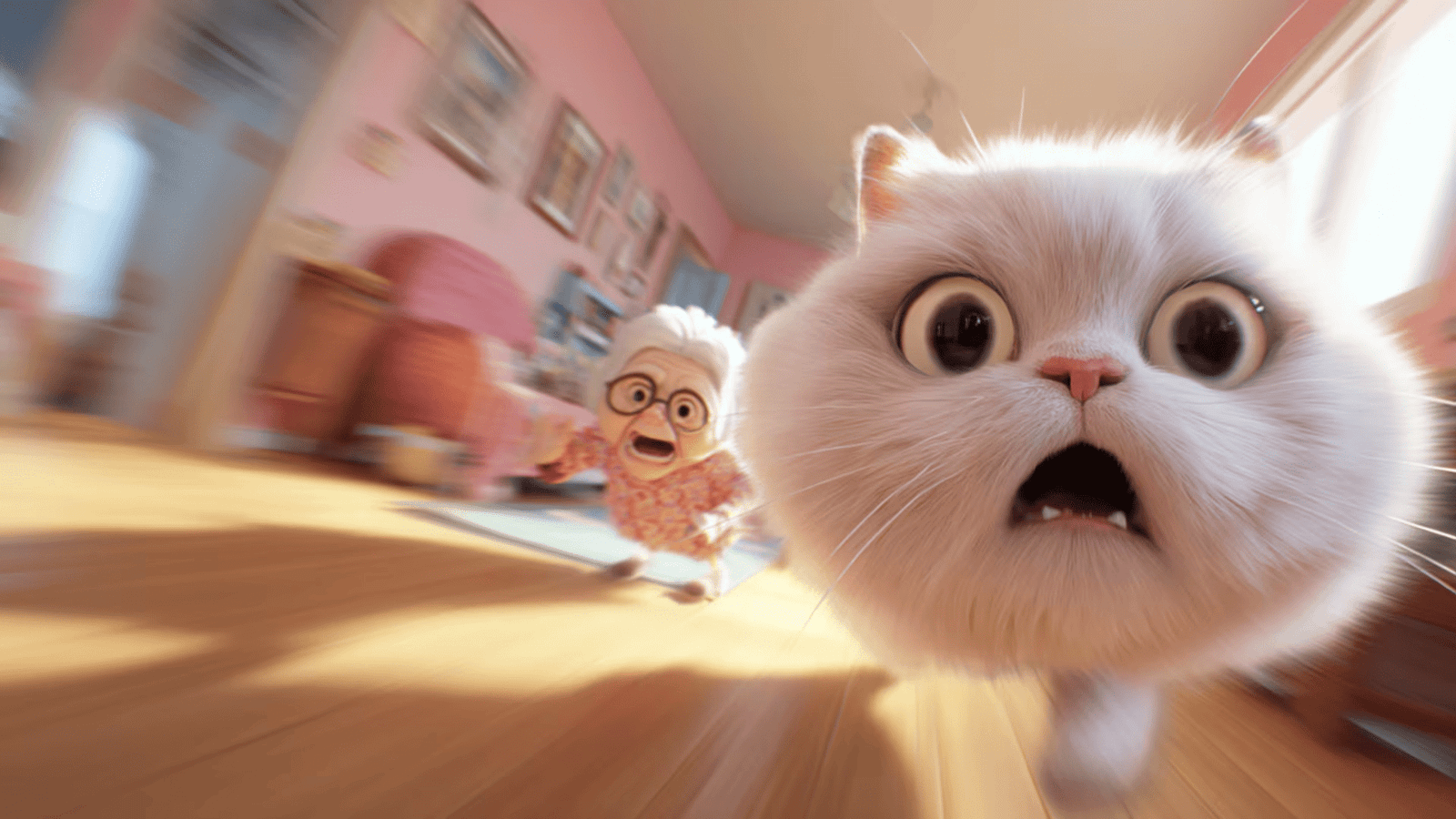 Bad Cat Angry Granny
